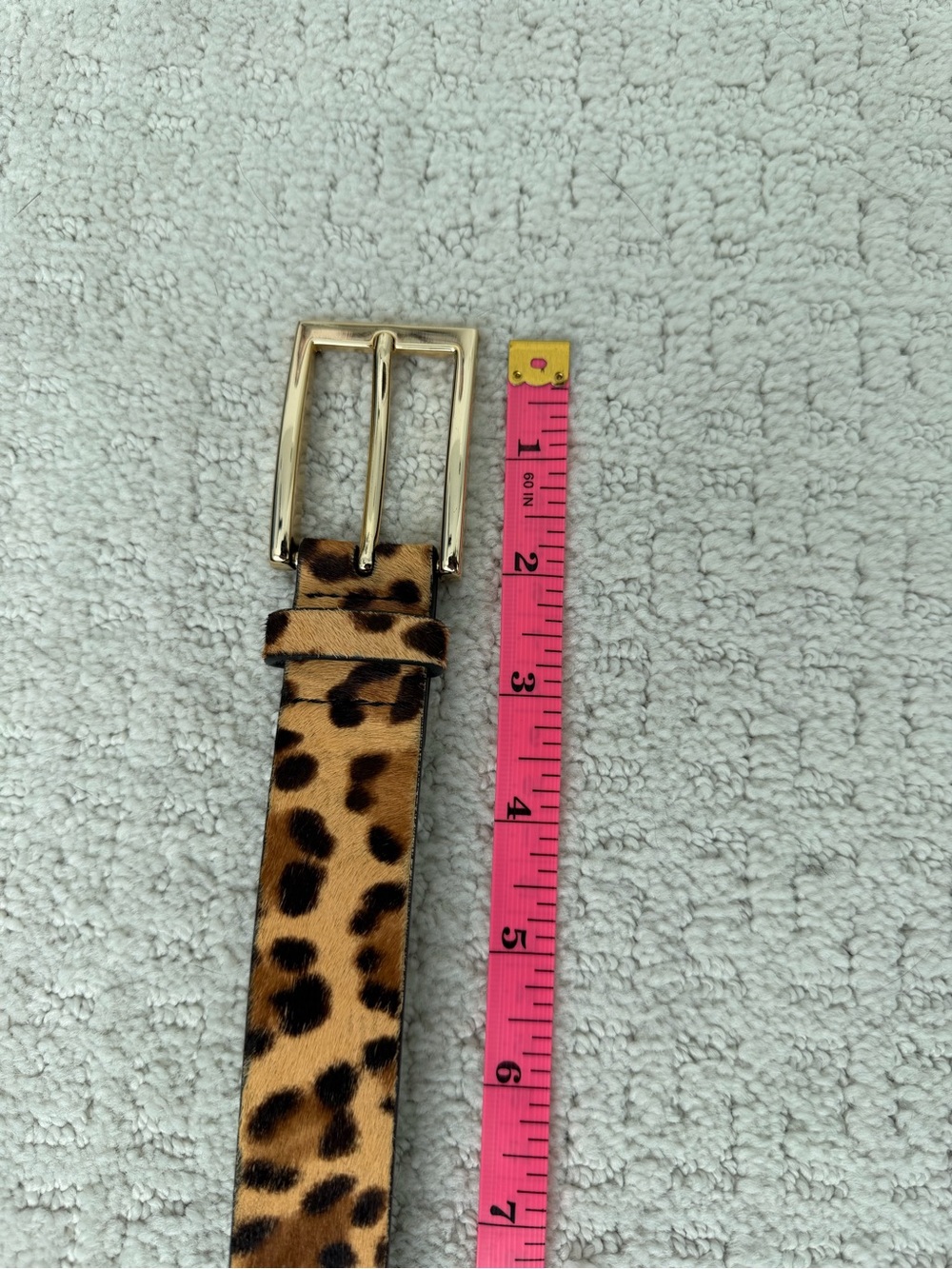Express Leopard Haircalf Belt with Gold Buckle - Picture 11 of 12